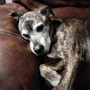 Meet your Posher, Kathleen